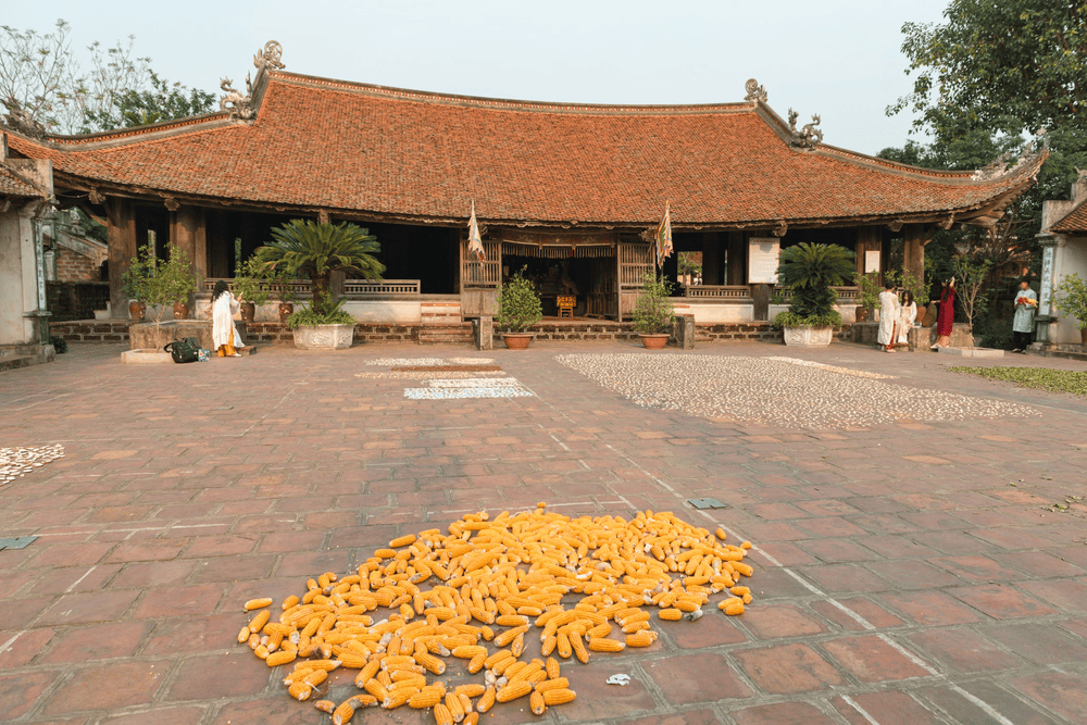 Làng cổ Đường Lâm vẫn còn lưu giữ nhiều kiến trúc đình đền cổ theo tín ngưỡng Bắc Bộ (Nguồn: Hieu Vu)